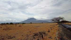 Perjalanan Ke Ujung Timur Pulau Jawa: Menghayati Kekayaan Alam Hayati (1)